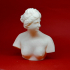 Bust of the Medici Venus print image