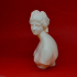 Bust of the Medici Venus print image