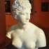 Bust of the Medici Venus image