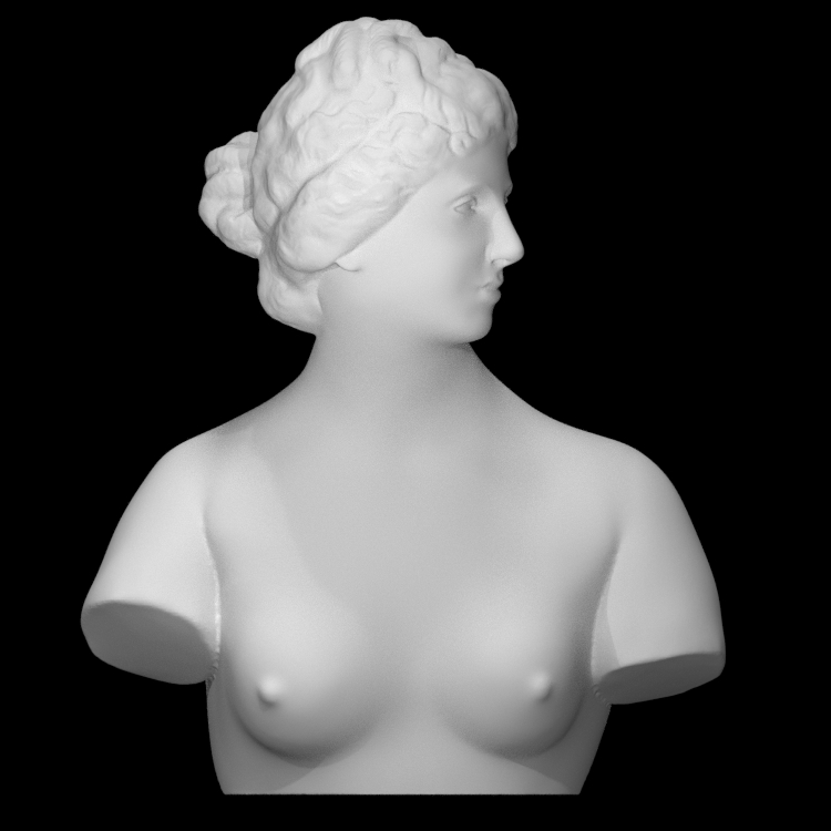 Bust of the Medici Venus