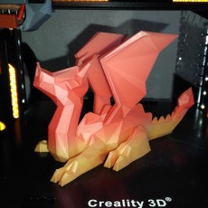Picture of print of Polydragon This print has been uploaded by Chris Hitchabout
