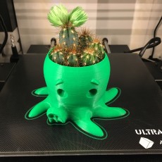 Picture of print of Octopus Planter