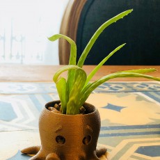 Picture of print of Octopus Planter