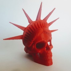 Picture of print of Liberty is Dying in High Resolution!