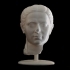 Roman Head of a Woman image