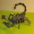 Scorpion - Scorpio image