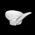Southern Cassowary head image