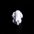 Dugong Skull image