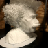 Hairy Einstein print image
