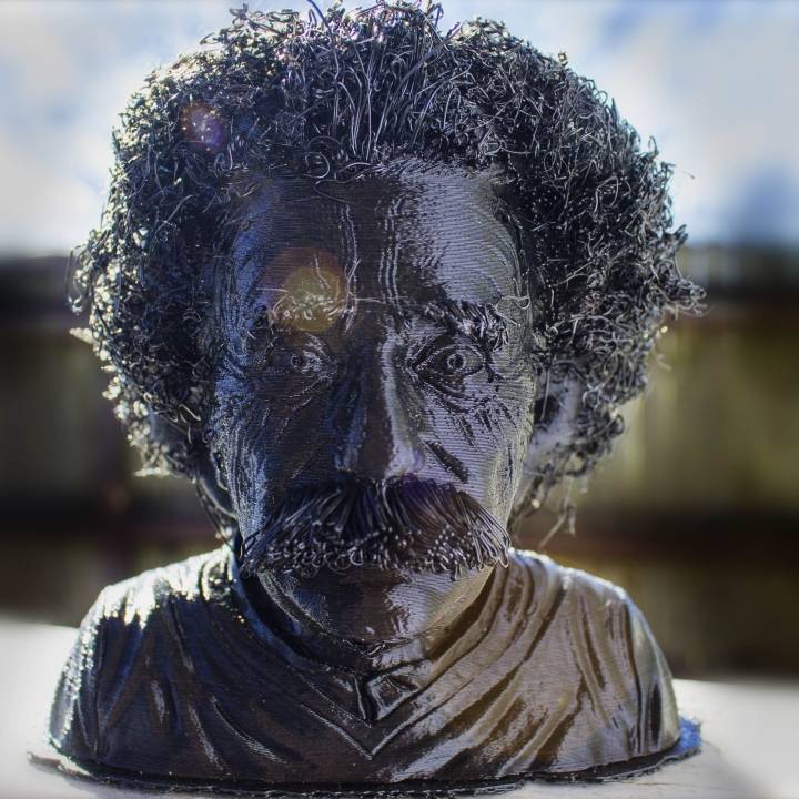 Hairy Einstein
