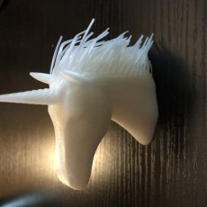 Picture of print of Hairy Unicorn (single and dual extrusion) This print has been uploaded by Duane Pantino
