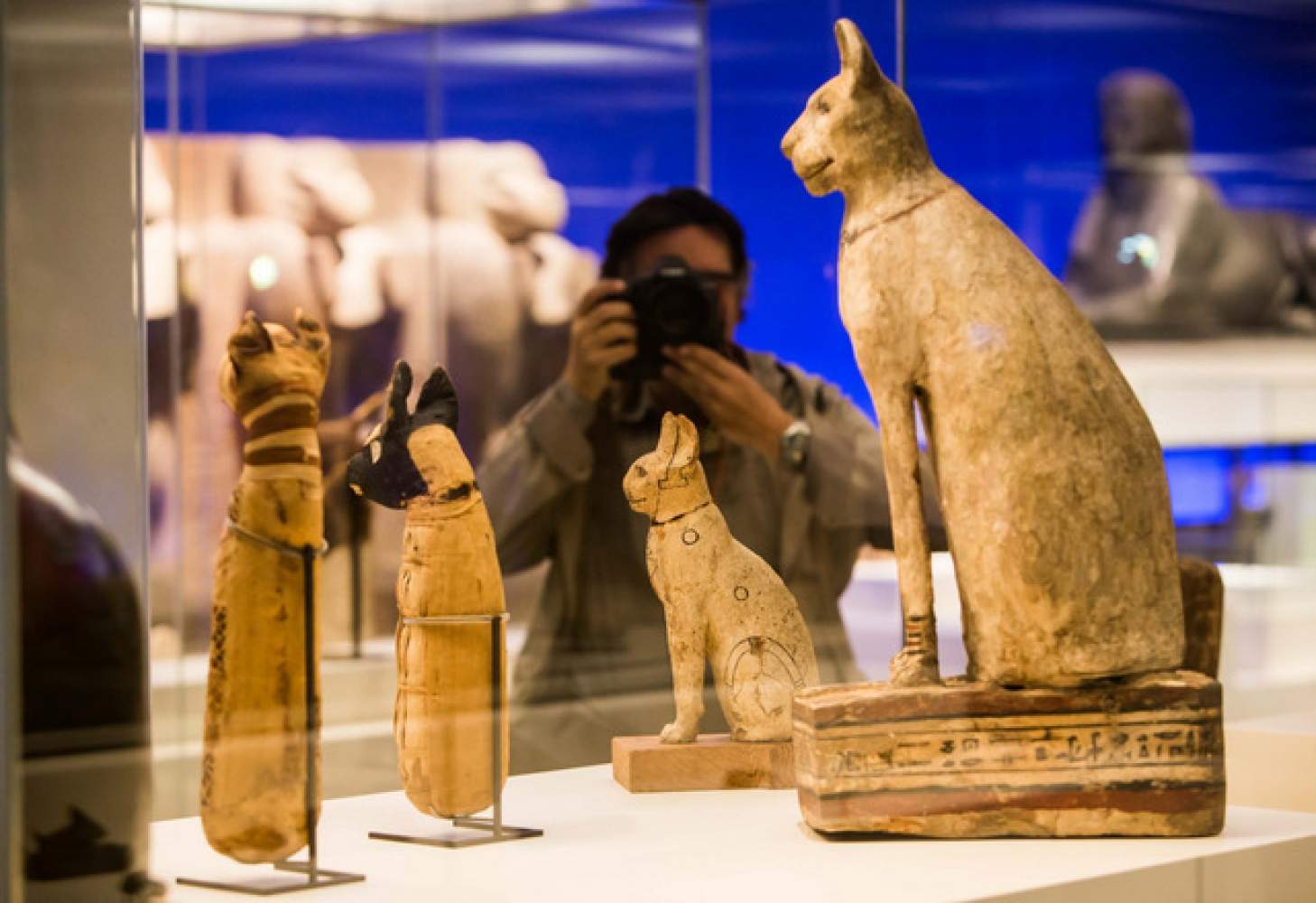 1000x1000 21149 animals and pharaohs a luxurious exhibition of egyptian treasures in madrid 1 large