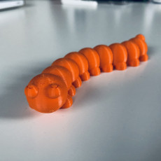 Picture of print of Caterpillar (Articulated) This print has been uploaded by Audax