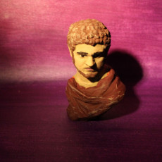 Picture of print of A Roman marble bust of the Emperor Caracalla, of the "sole-rule" type