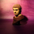 A Roman marble bust of the Emperor Caracalla, of the "sole-rule" type print image