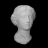 Roman over-lifesized head of a noblewoman (possibly Livia) image