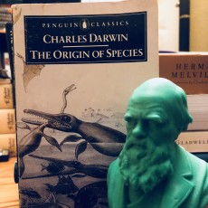 Picture of print of Bust of Charles Darwin