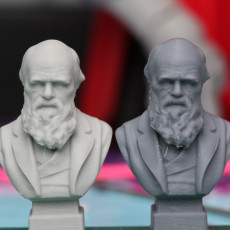 Picture of print of Bust of Charles Darwin