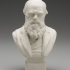 Bust of Charles Darwin image