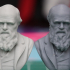 Bust of Charles Darwin print image