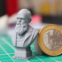 Bust of Charles Darwin print image
