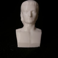 Picture of print of Bust of Two-Faced Janus