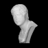 Portrait of Hadrian image