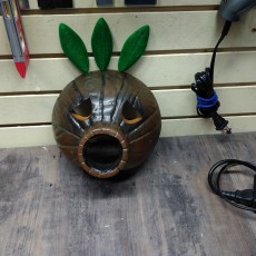 Picture of print of Deku Mask