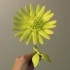 Daisy - Flat flower image