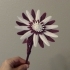Daisy - Flat flower image