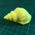 Sea Shell (from Digitizer Scan) image