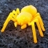 Spider ... With 8 legs, and 8 Eyes image