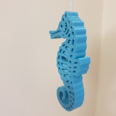 Picture of print of Seahorse - Balanced so it stands on its tail!