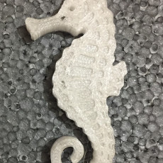 Picture of print of Seahorse - Balanced so it stands on its tail! This print has been uploaded by Angel Spy