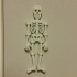 'Skeletonz' print image