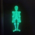 'Skeletonz' print image