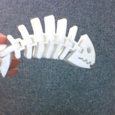 Picture of print of Fish Fossilz This print has been uploaded by Payton Brown