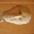 Portrait of Vespasian image