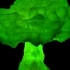 Radioactive Cauliflower image