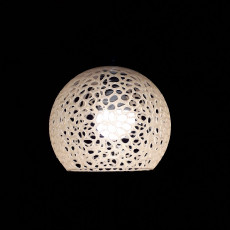 Picture of print of Coral Lamp