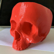 Picture of print of Skull Bowl This print has been uploaded by Randy Alexander