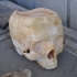 Skull Bowl image