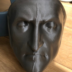 Picture of print of Death Mask of Dante Alighieri This print has been uploaded by Elio