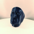 Death Mask of Dante Alighieri print image