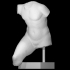 Torso of a running Youth image
