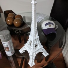 Picture of print of Eiffel Tower Model