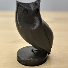Picture of print of Owl This print has been uploaded by Tereza Pilatova