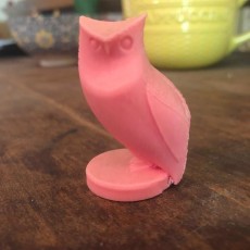 Picture of print of Owl