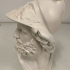 Bust of Menelaus print image