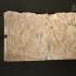 Limestone fragment image